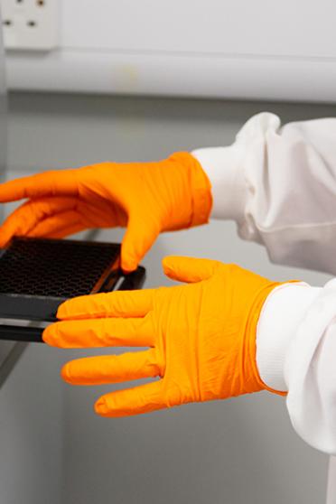 Scientists with sequencing samples in the lab