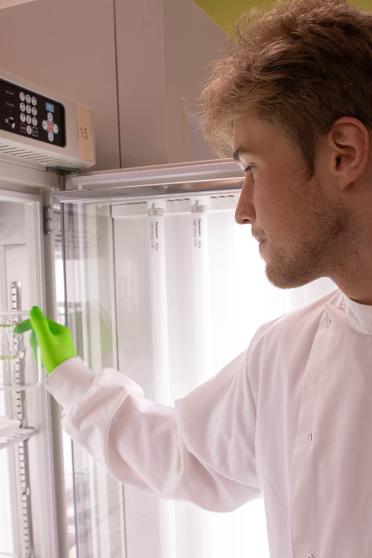 Visiting student reaching into a refrigerated unit with trays inside