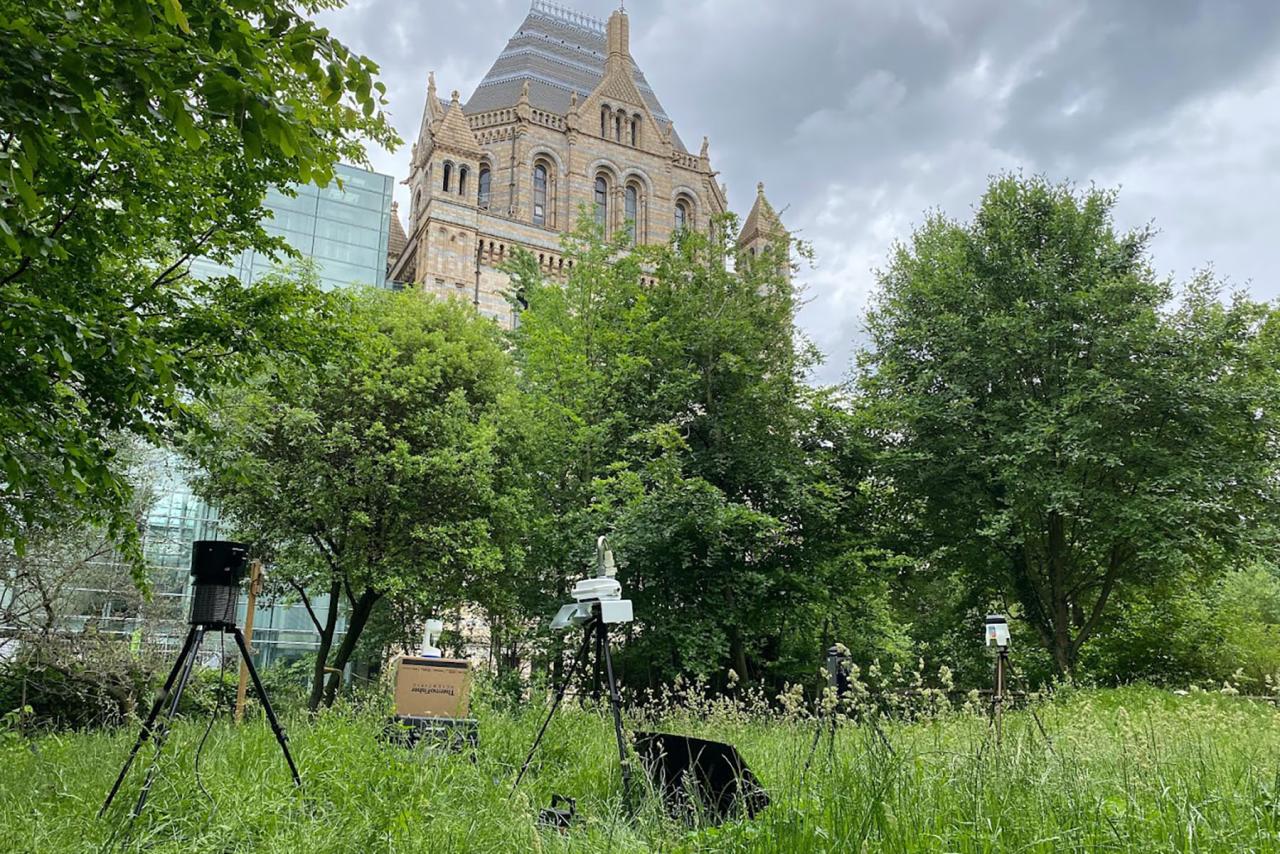 The AirSeq technology in greenery at the side of the Natural History Museum in London