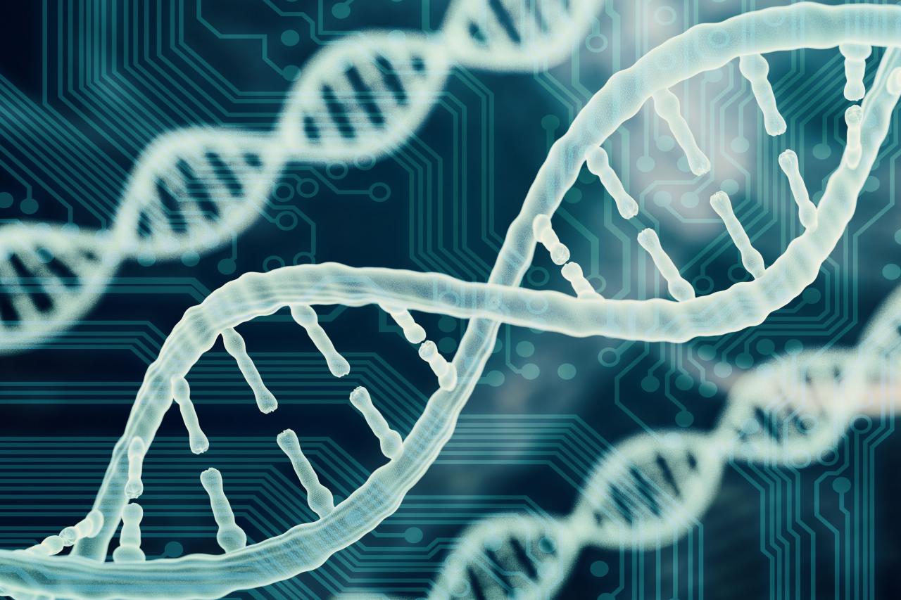 Digital graphic of DNA helix with computer circuit board design. 