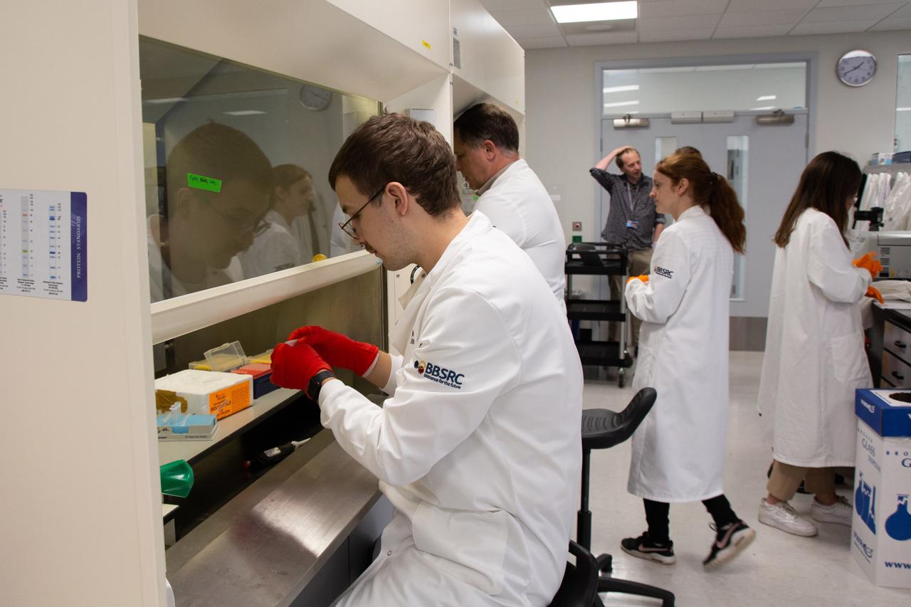 Participants in the lab during the last single-cell laboratory training
