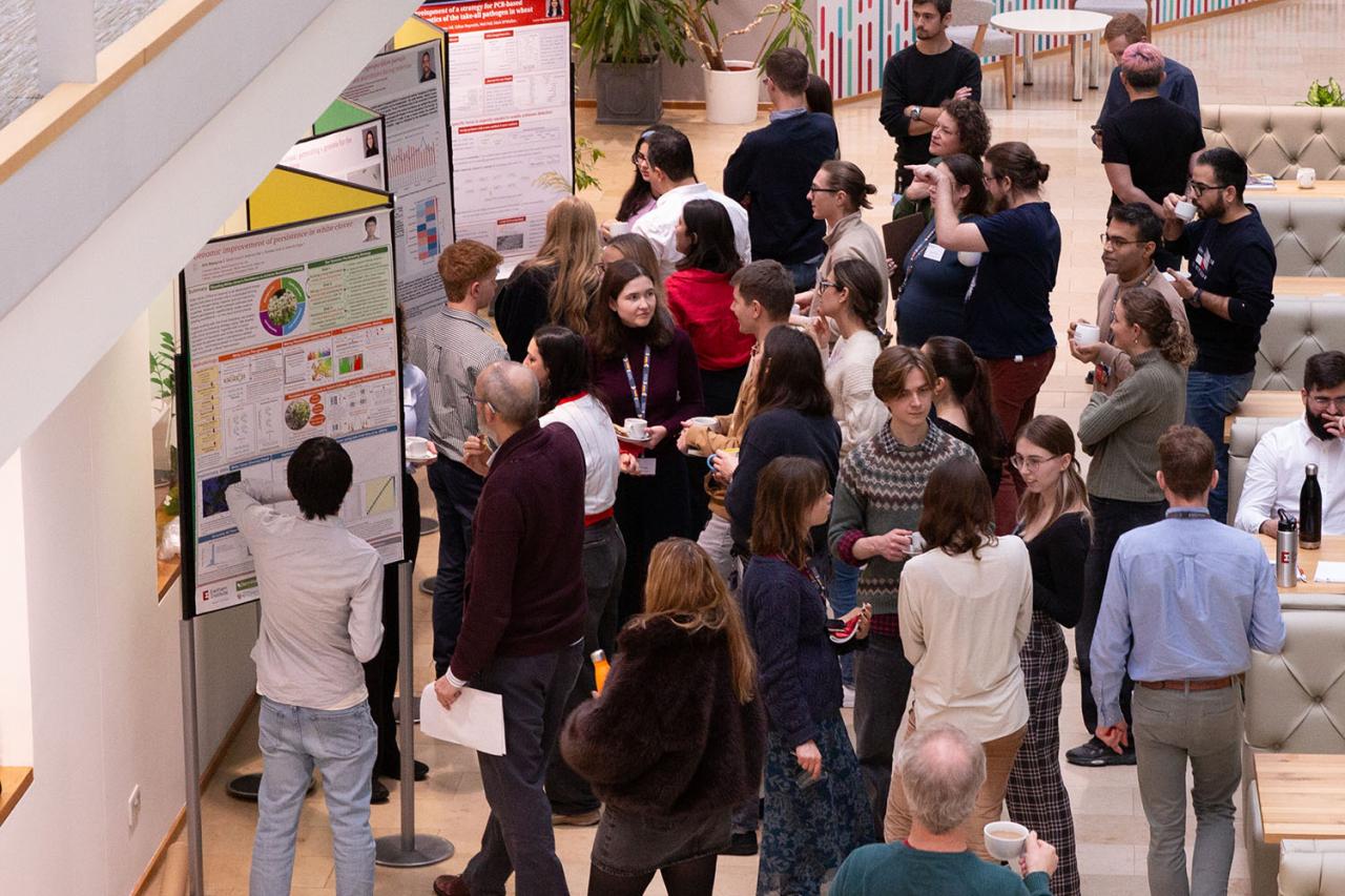PhD and Year in Industry students networking during a poster presentation break at an EI conference