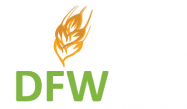 Designing Future Wheat Logo