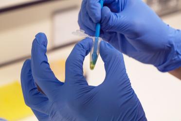 Scientists with sequencing samples in the lab