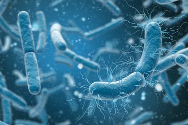 3D rendering of salmonella bacteria closeup in blue background.