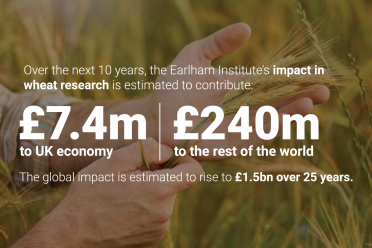 Over the next 10 years, the Earlham Institute’s impact in wheat research is estimated to contribute £7.4m to the UK economy and £240m to the rest of the world over the next 10 years. The global impact is projected to rise to an estimated £1.5bn over 25 years.