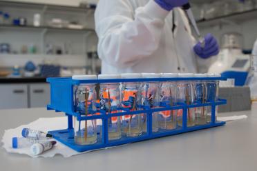 Researchers in the DNA Replication lab at the Earlham Institute