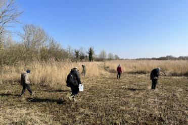 The group from Earlham Institute and Norfolk Fungus Study Group combing the fenland ground