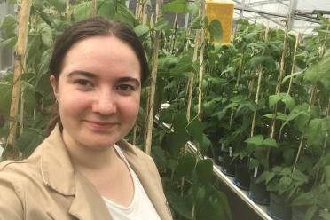 Photo of Kate standing in among the bean plants in the glasshouses in Colombia