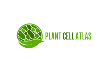 Plant Cell Atlas logo