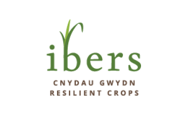 ibers logo