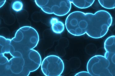Abstract graphic of blue cells on a dark background