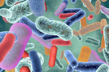 Digital illustration of generic bacterial communities