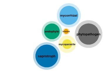 The same nested circles, now with labels on