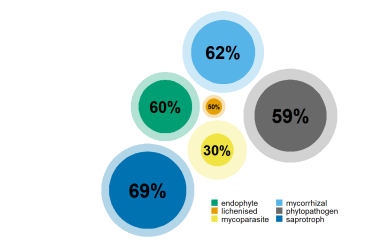 The same nested circles, now with percentages on and the labels described in a key