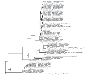 The first draft of the tree based on the data listed above