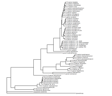 A more developed tree with more informative labels