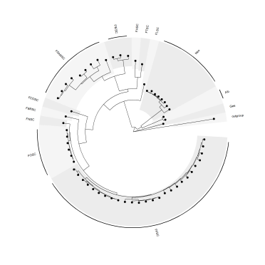 The same final chart now in circular layout.