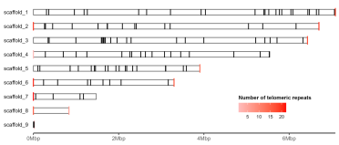 The developed ideogram with added features using the above code.