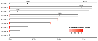 The final ideogram