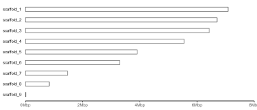 The first draft of the ideogram based on the coding provided above