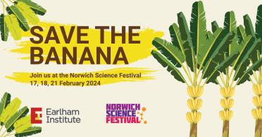 Save the banana at Norwich Science Festival 2024. The Earlham Institute will be there on 17th, 18th, and 21st of February. Graphic shows hand drawn illustrations of banana plants on a light cream background.