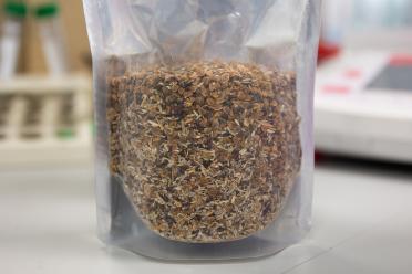 A see-through packet containing a mix of wildflower seeds. Background is out of focus.