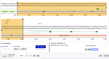 Screenshot on Benchling showing the results of the above steps.