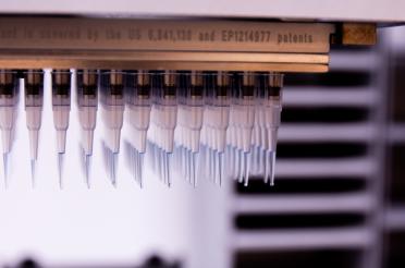 Macro close up of automated pipette heads