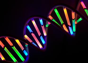 Digital illustration of a double helix with bright colours representing the DNA bases
