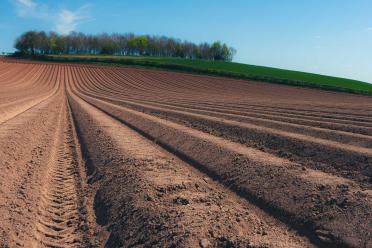Agricultural field, with focus on the soil in the foreground, leading up to a hill with trees in the background against a bright blue sky