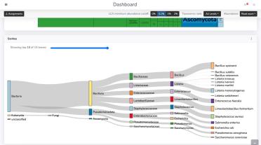 A screenshot of the MARTi interface