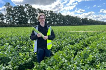 Jamie Pike, Knowledge Transfer Partnership Associate stands in a celery field with a high-vis jacket 