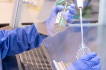 A scientist wearing blue safety gloves using a pipette to dispense liquid into a small container inside a biosafety cabinet.”