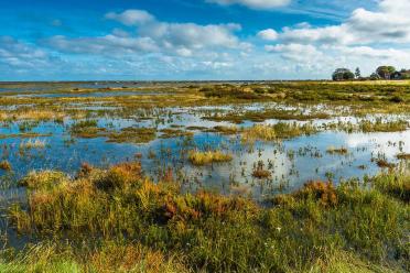 Lush green salt marshes in North Norfolk with a bright blue sky above