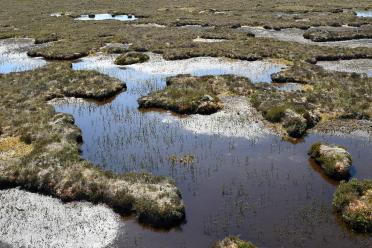 Looking down on reflections in water of a blanket peat bog