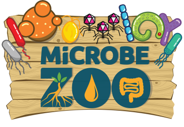 Illustrative sign for the Microbe Zoo, with letters in dark blue against a wood board effect background, and nine illustrated microbes above the text