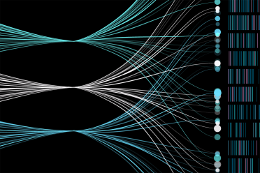 Genome Annotation Hero Test