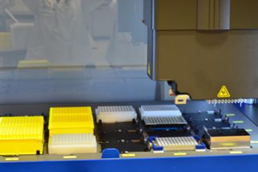 Automated library construction