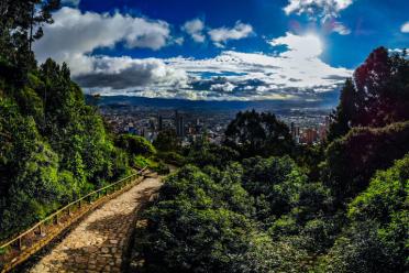 10 years of impact keeping living things healthy grow colombia biodiversity 770