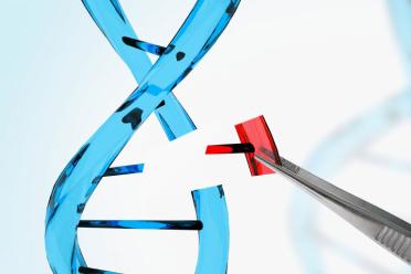 The case for UK embrace gene edited crops insertion DNA 770