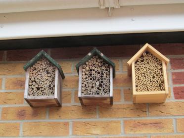 11557059765 Bee Hotels