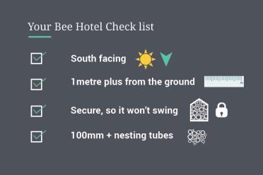 Bee hotel check list 770x513