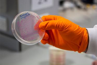 Day in the life of a master microbiologist sample 770