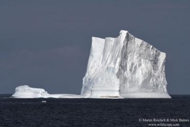 Emma Antarctic Adventure Iceberg Bristol Island 770