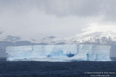 Emma Antarctic Adventure Iceberg floating Bristol Island 770
