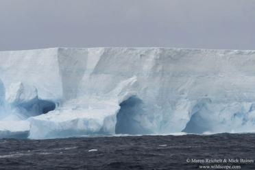 Emma Antarctic Adventure Iceberg tunnels Bristol Island 770