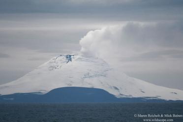 Emma Antarctic Adventure Saunders Island South Sandwich volcanic eruption 770