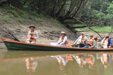 Boat in the jungle 770