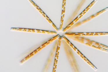 Diatom Star